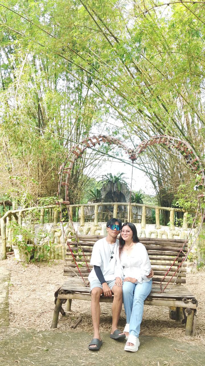 Bamboo 6